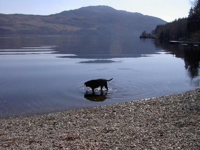Tigh Na Bruach B&B Invermoriston Exteriör bild